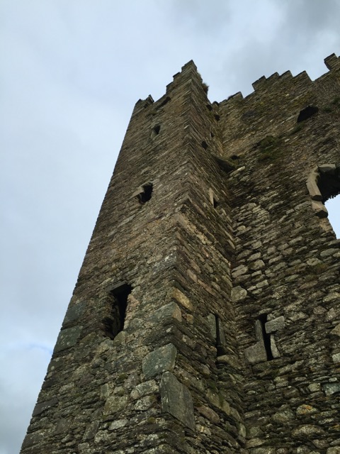 Ireland On Horseback, Summer 2016 